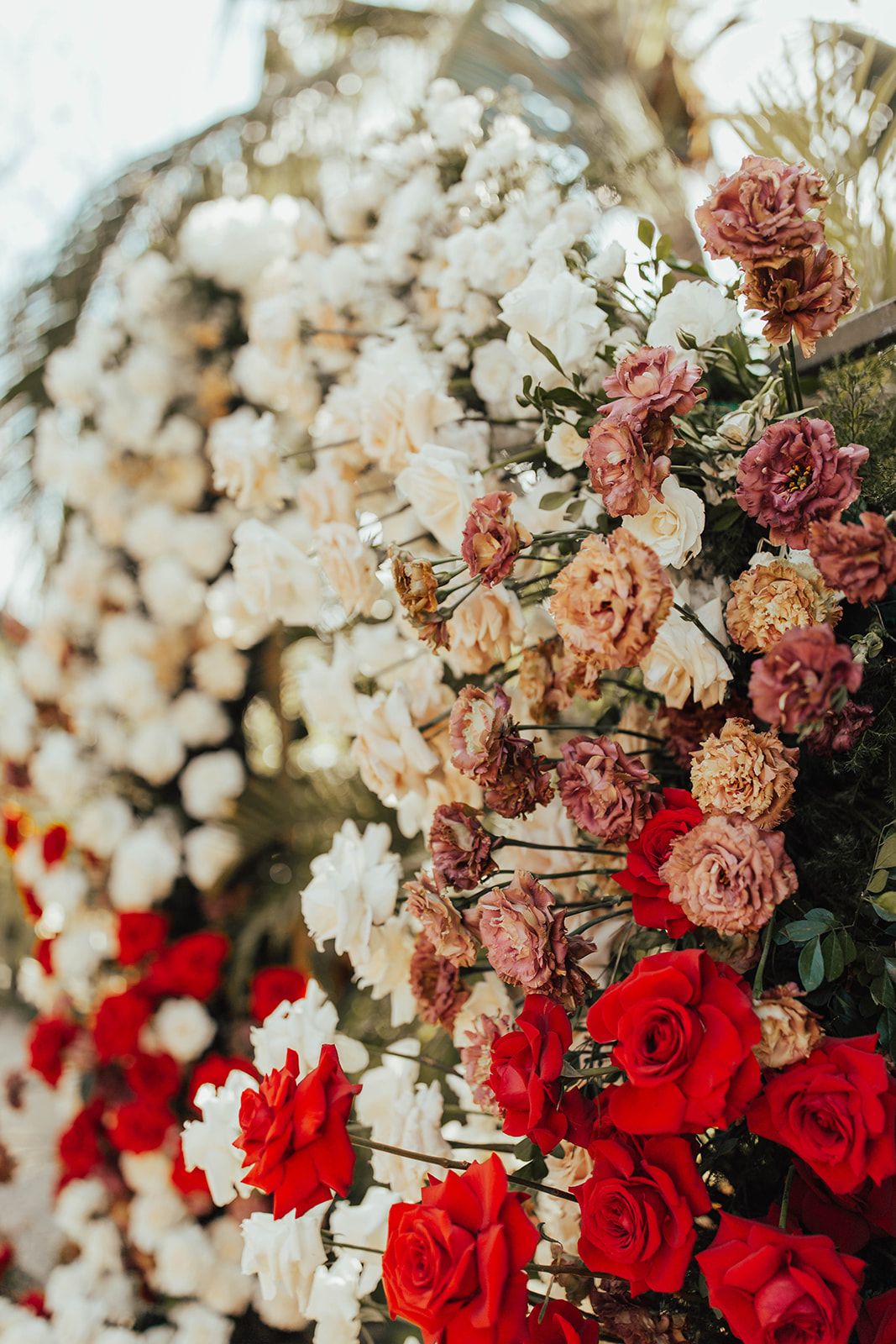 Taryn & Dan — photo 26
