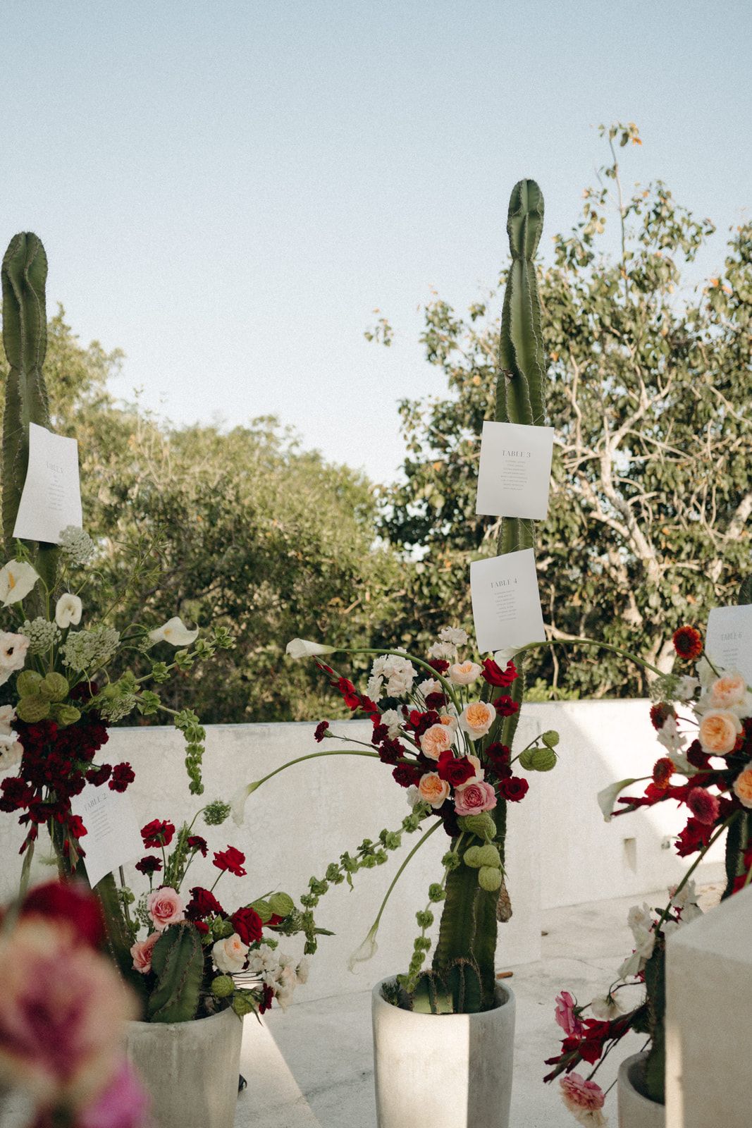 Paige & Troy — photo 34