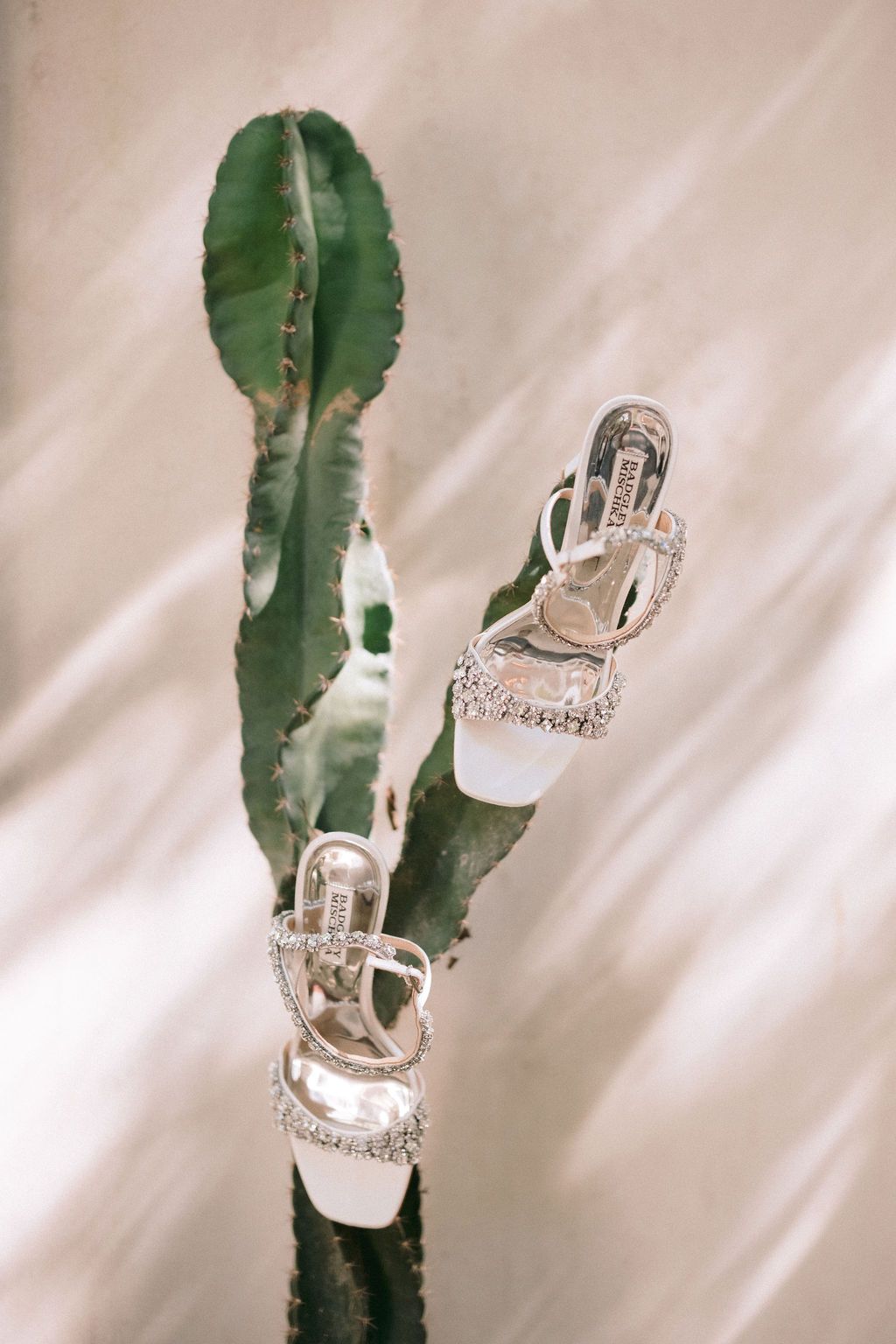 Bere & Ben — photo 5